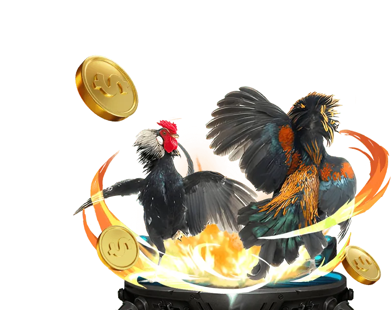 Trận đấu đá gà kịch tính tại SP88 đăng nhập